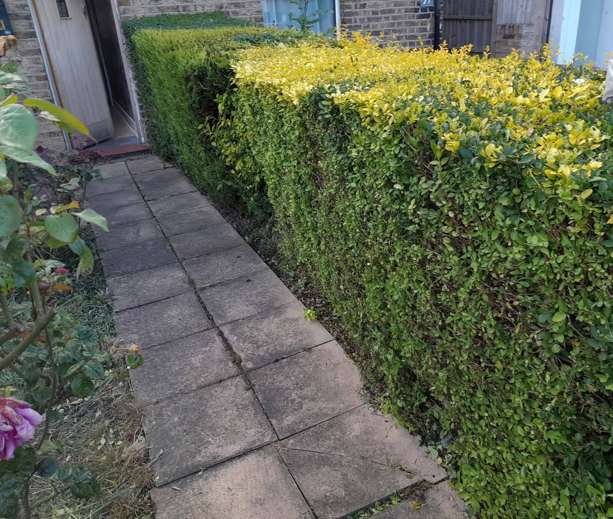 Hedges cut. Weeds gone. Gardens sorted.