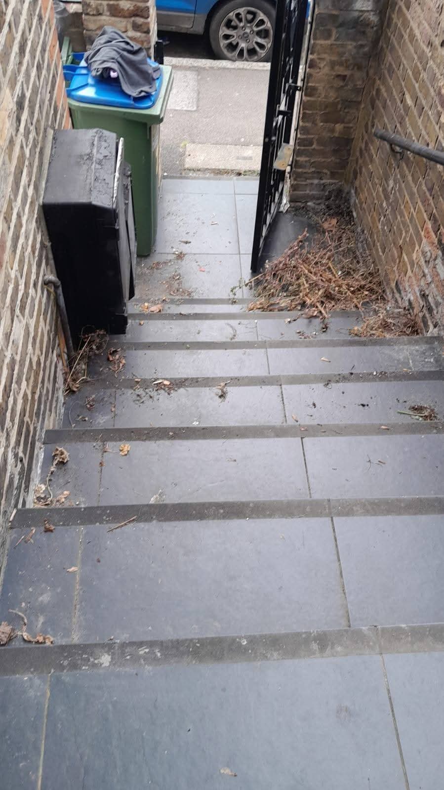 Front steps covered in dead leaves and cuttings