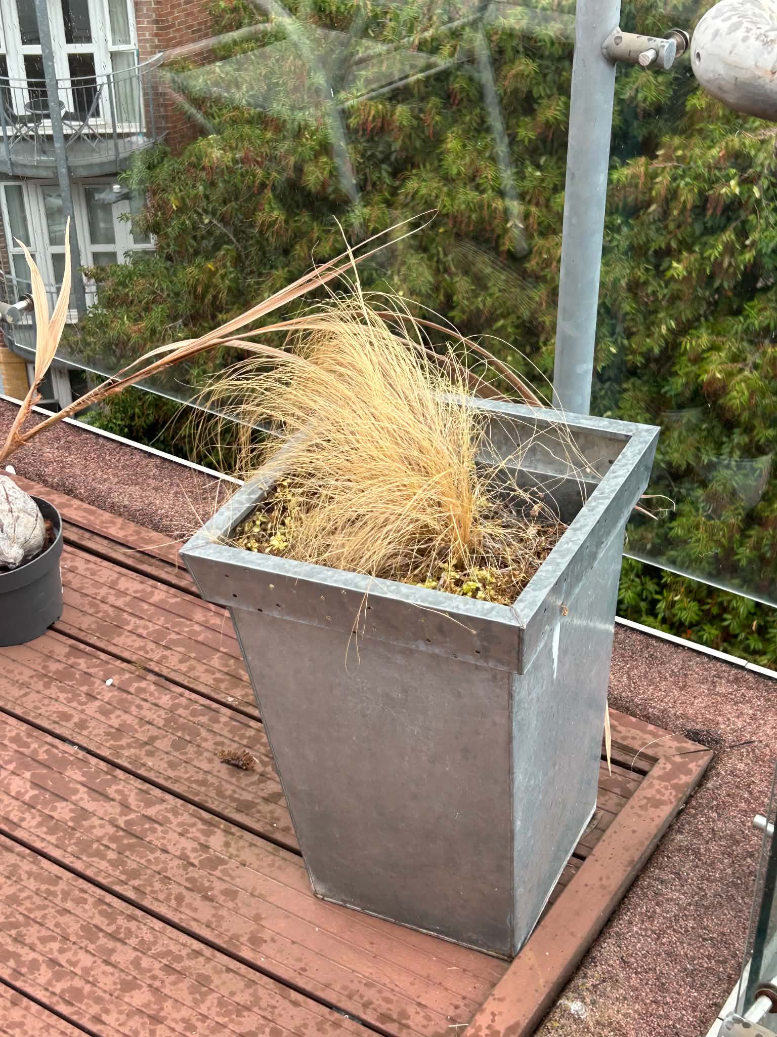 Dried-out grass in a roof terrace planter, before we started