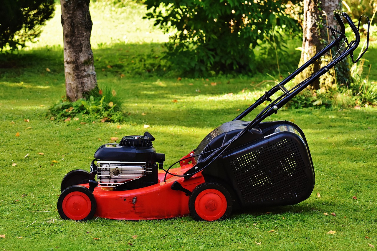How often should you cut your lawn? A season-by-season guide