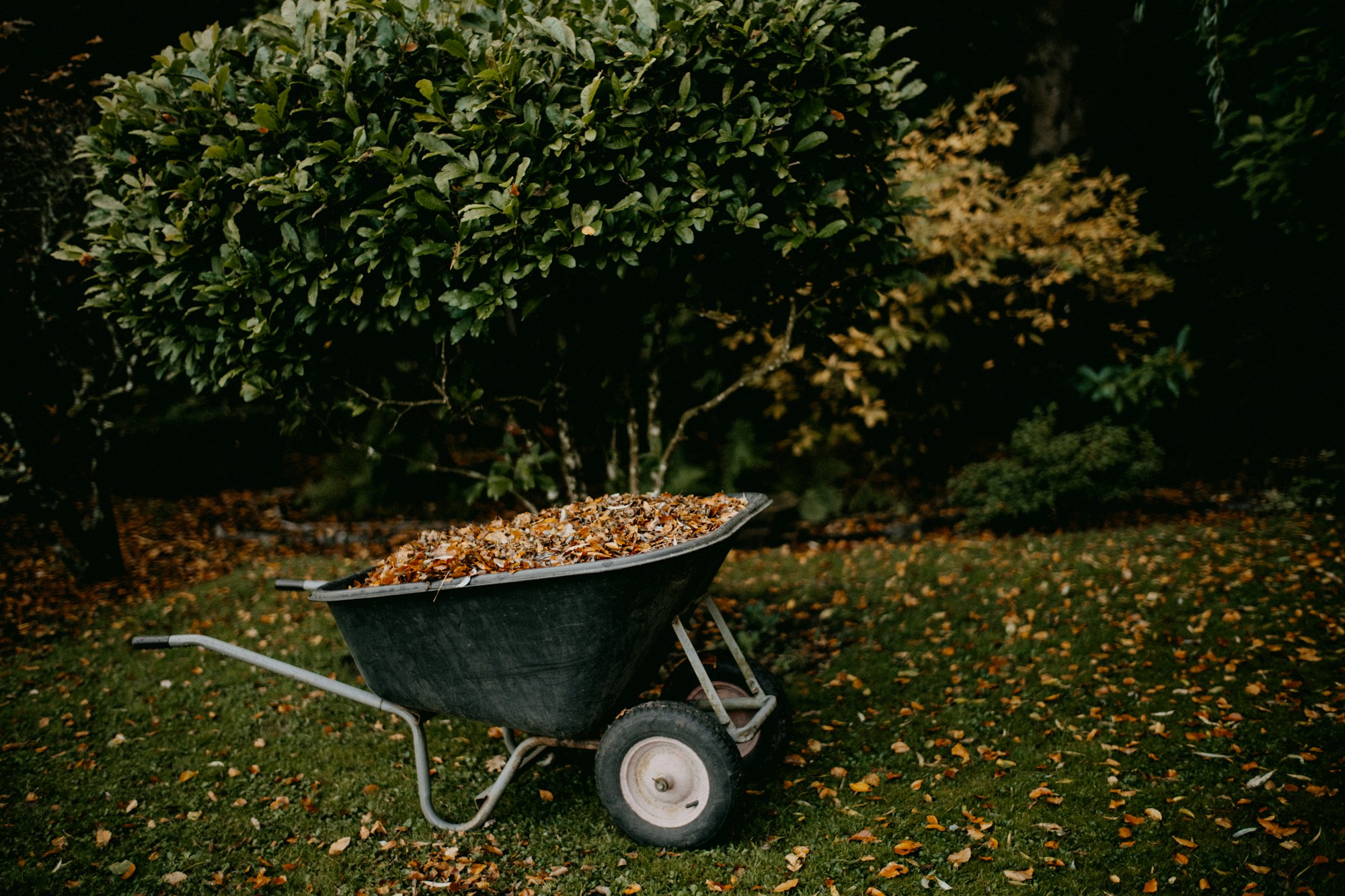 Garden and leaf clearance